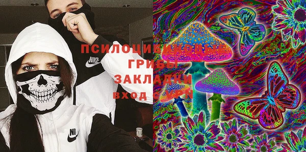 дживик Абаза