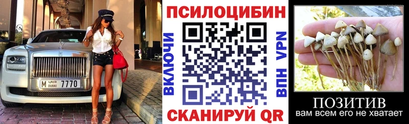 кракен ТОР  Сызрань  Галлюциногенные грибы Cubensis 